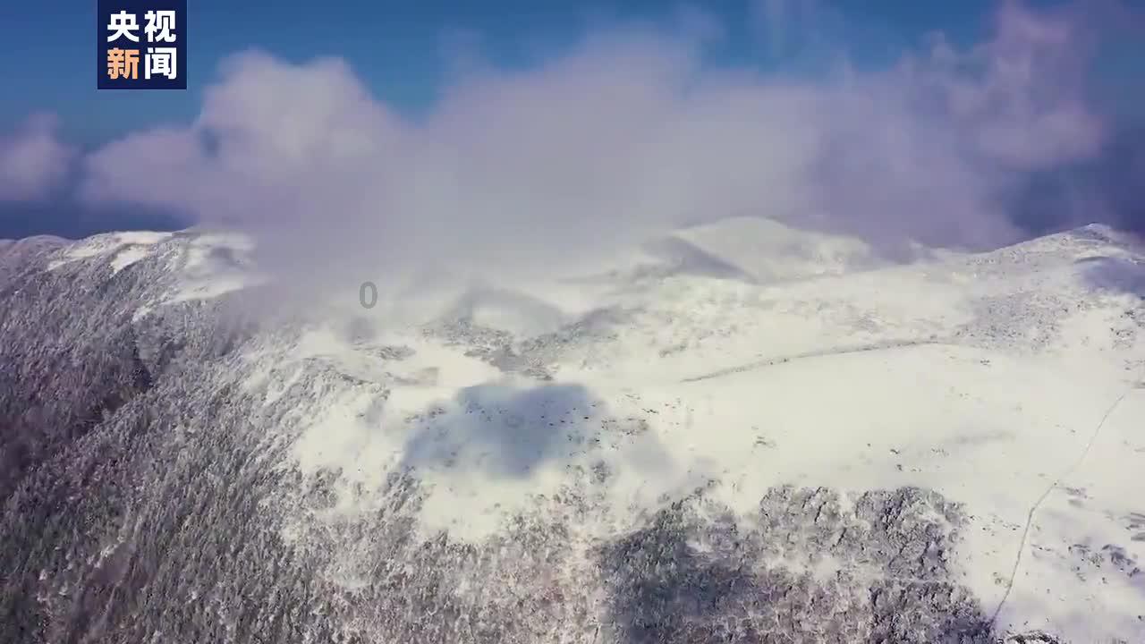 迷你西游