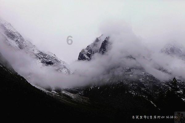 寻找萌小老虎