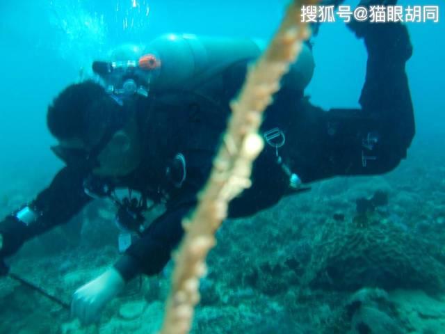 豆娃足球冒险