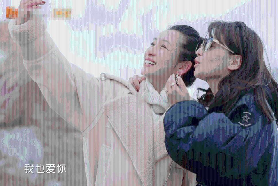 动物帮帮忙保卫家园