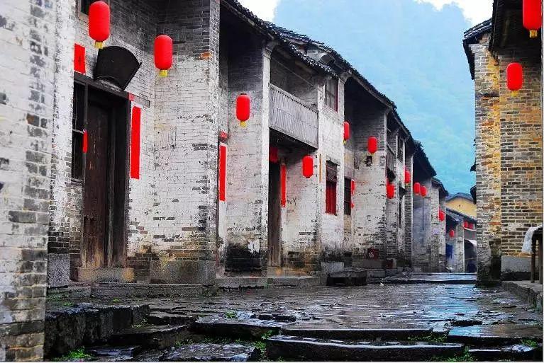 动物帮帮忙保卫家园