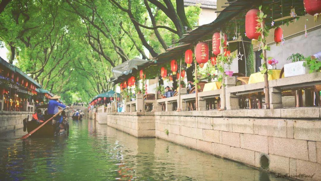 植物大战僵尸21