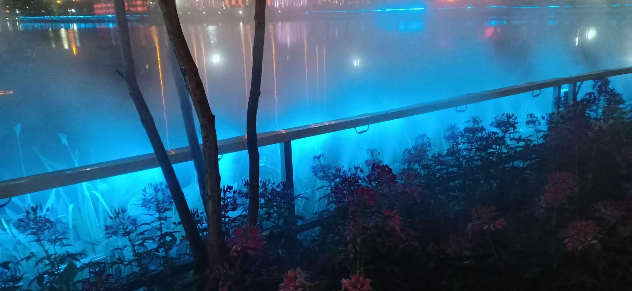 小锯鳄卡丁车竞赛