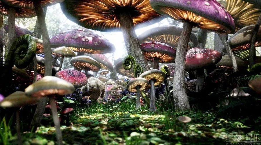 果园风送打药机的优势有哪些？